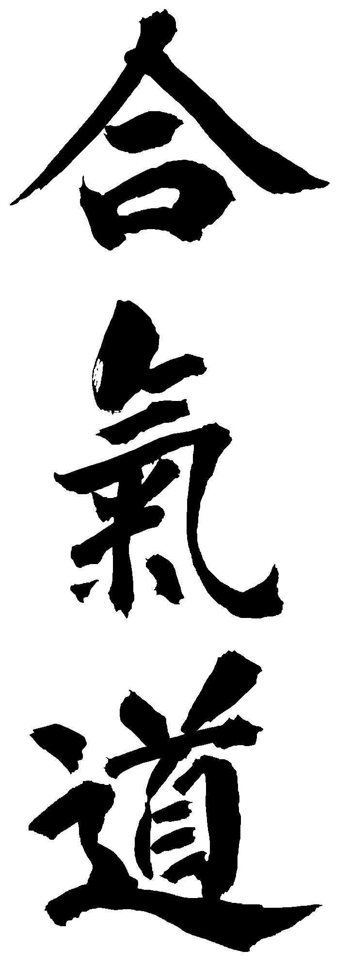 Aikido Kanji